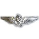Winged Pegasus  - Pendant / Stock Pin / Brooch